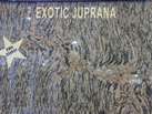 EXOTIC JUPRANA - KISAN MINERAL PVT.LTD.